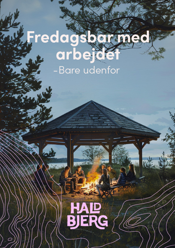 Haldbjerg kampagne